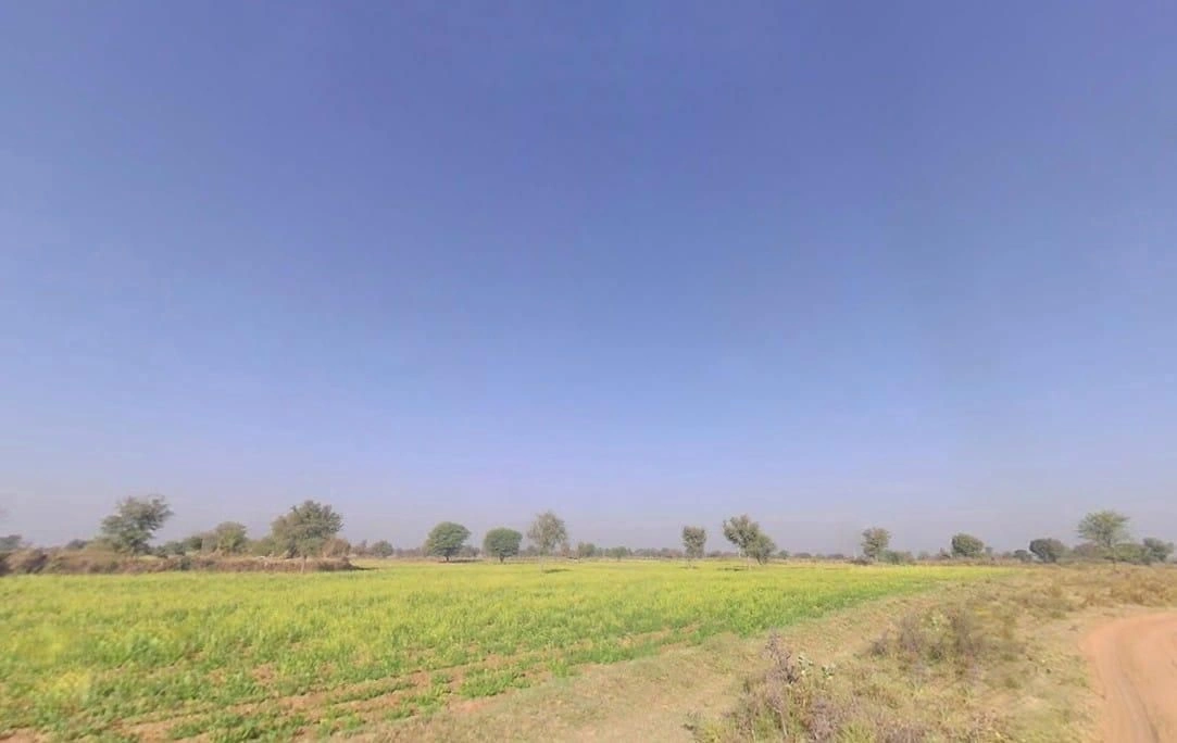 QWPV+38C, Panva Kalan, Rajasthan, India