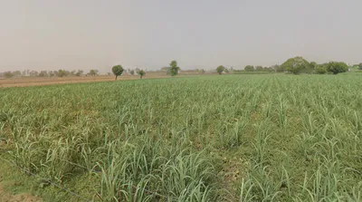 Gohana, Haryana 131301, India preview 2