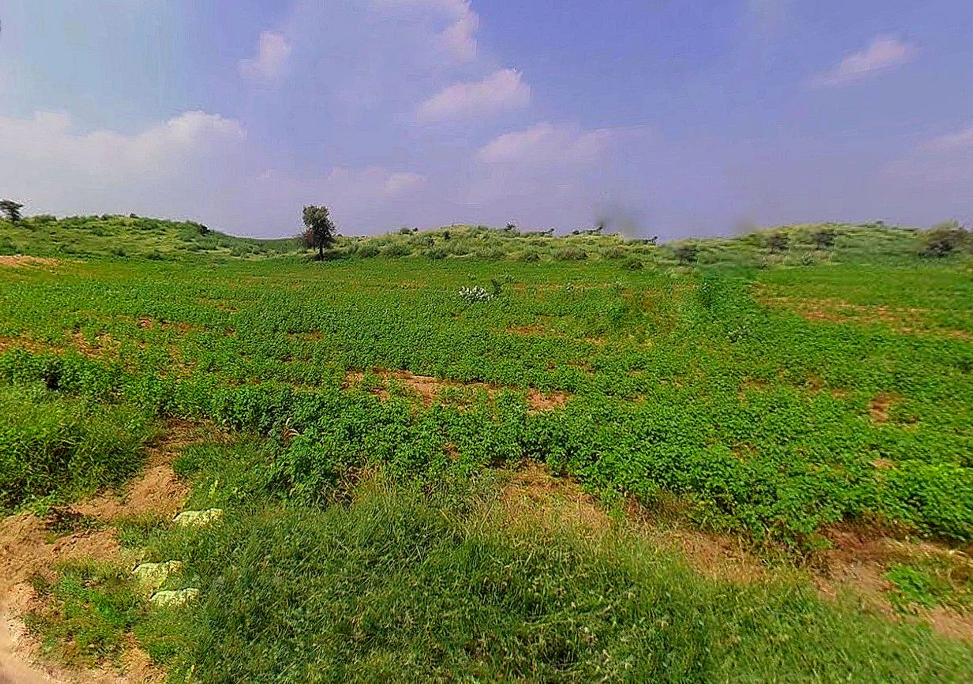 Bihta-Sakaddi Rd, Modahi, Bihar, India