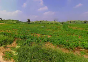 Bihta-Sakaddi Rd, Modahi, Bihar, India preview 3