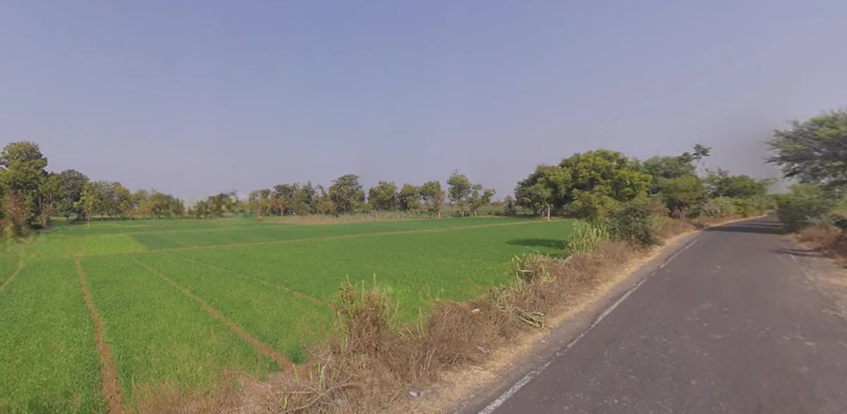 78R7+86 Kadi, Gujarat, India