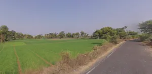 78R7+86 Kadi, Gujarat, India preview 3