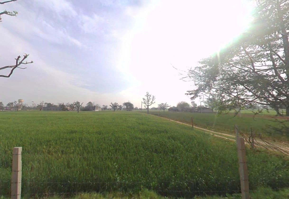 88RV+5MR, Dheengpur, Rajasthan 332601, India