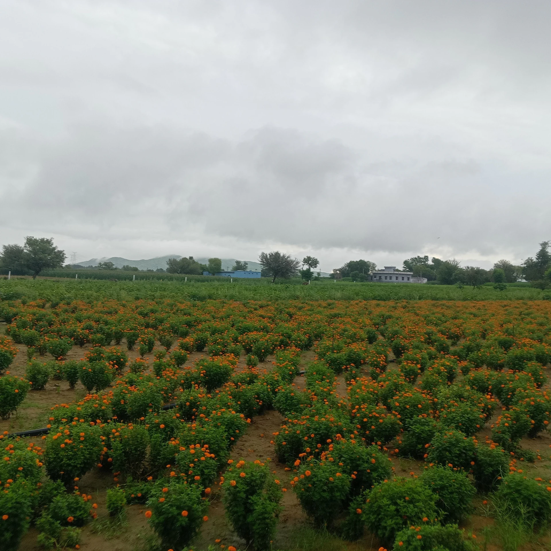 Mundawar, Rajasthan