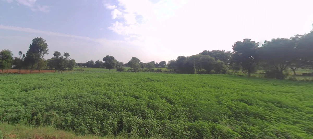 9R5C+RM Sonoli, Maharashtra, India