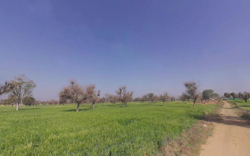 89QG+4F2, Gila Ki Dhani, Rajasthan, India