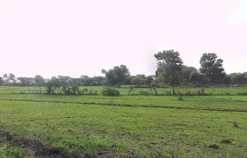 J273+2J4, Bhatewar, Rajasthan 313601, India