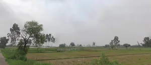 Dataganj, Uttar Pradesh 243635, India preview 2