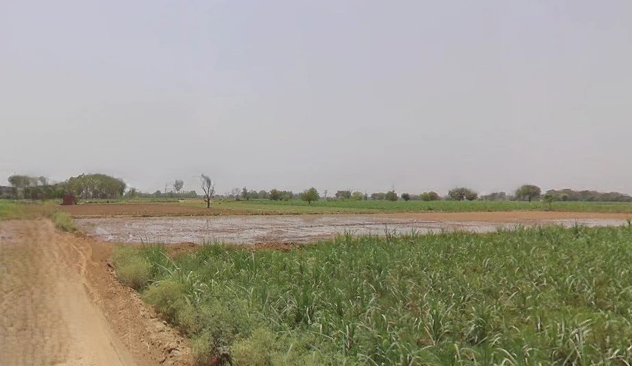 Khirwa Rd, Nangla Tashi, Meerut, Uttar Pradesh, India