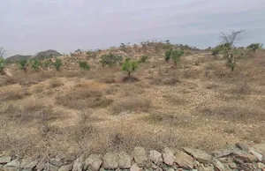 VRHR+6Q Bhansol, Rajasthan, India preview 3