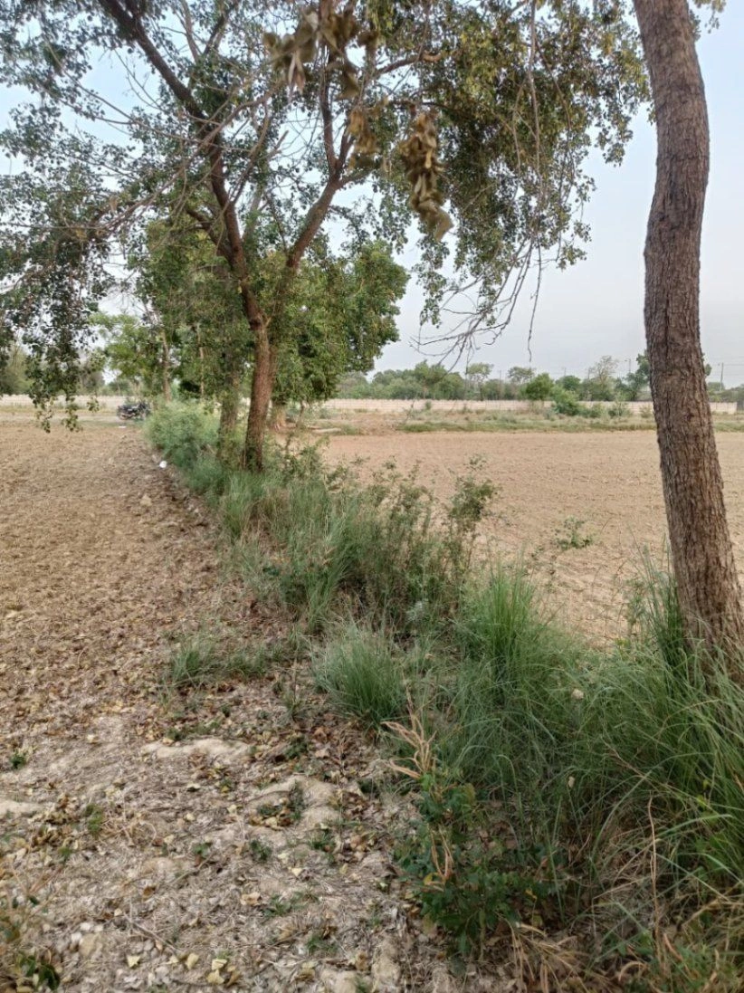 Tentigaon, Uttar Pradesh, India