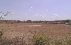 P225+GJ Kheemach, Rajasthan, India preview 3