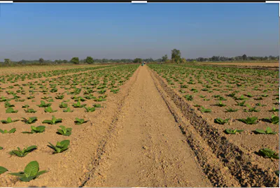 Hajipur, Rajasthan 301402, India preview 2