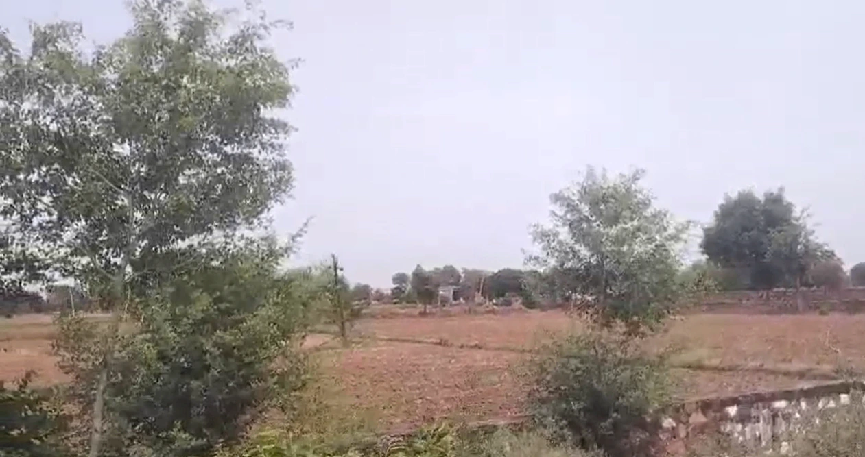 CPJP+MF Norangpura, Tonk, Rajasthan, India - Photo 2