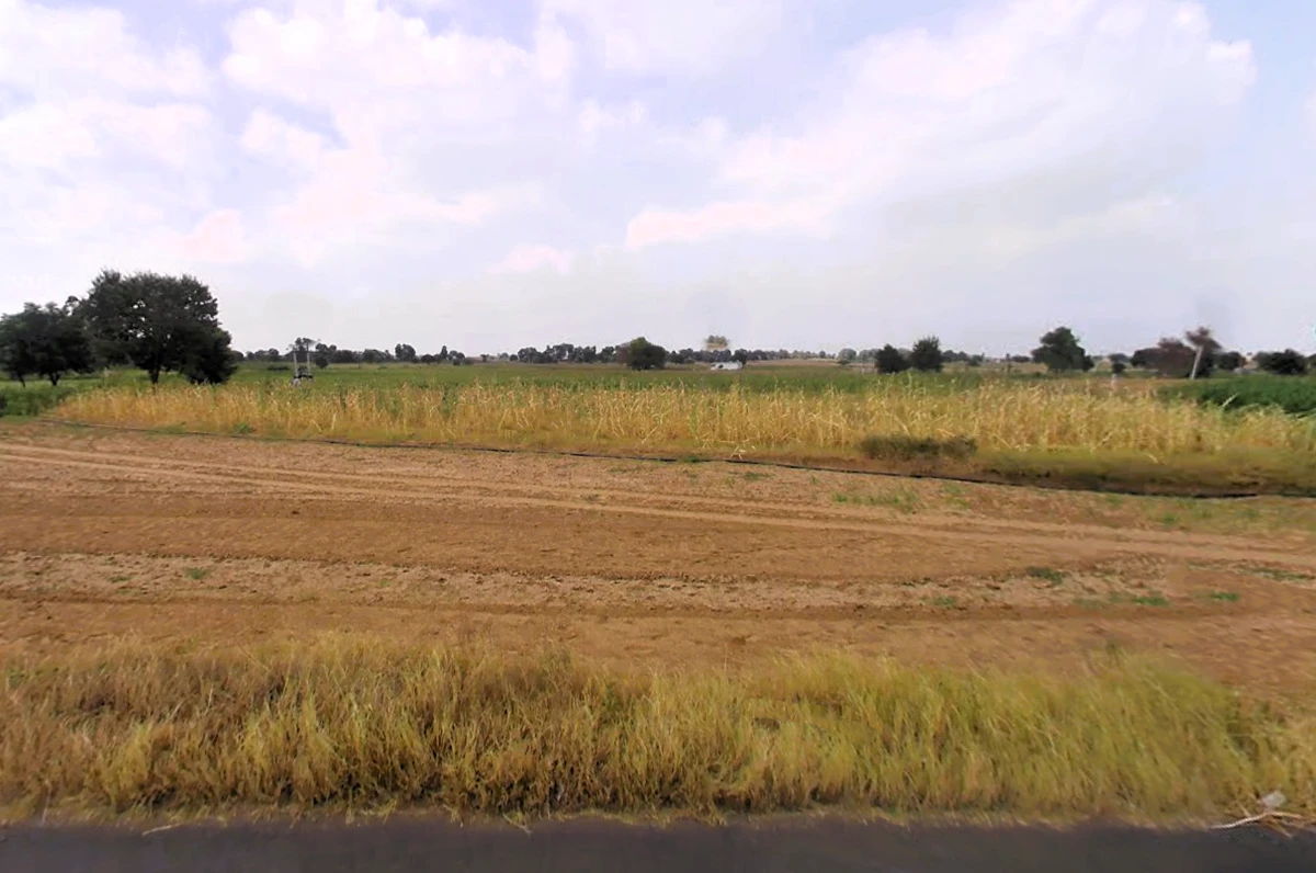 Dinod, Haryana 127111, India