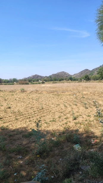 Barnagar, Madhya Pradesh 456771, India