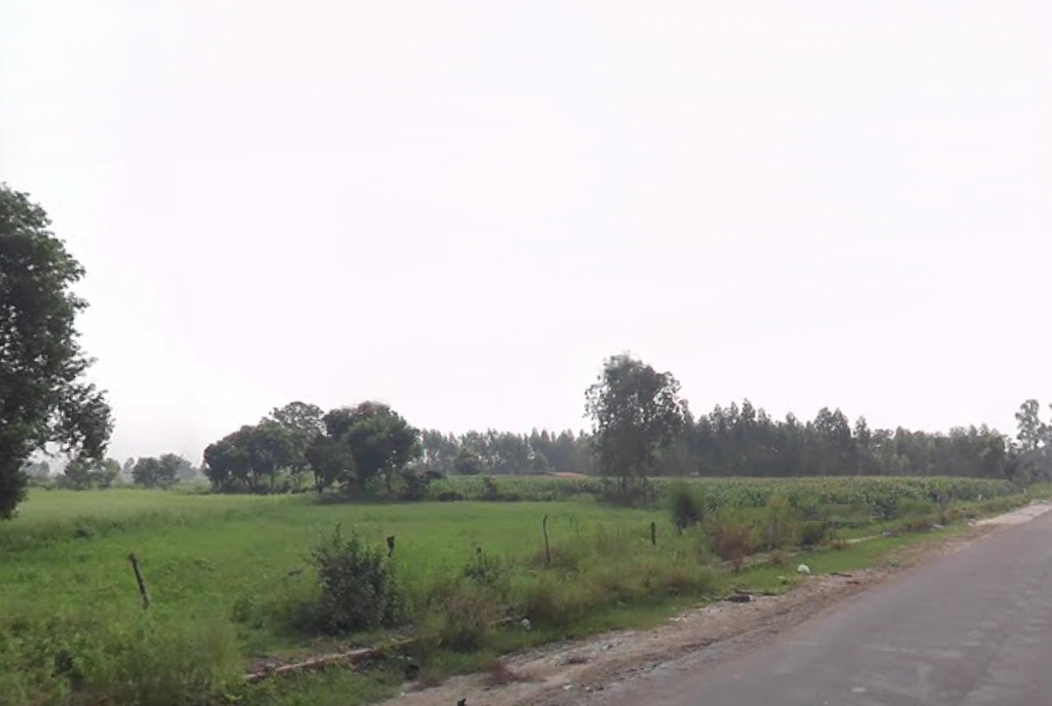 Raipur Rani, Haryana 134204, India