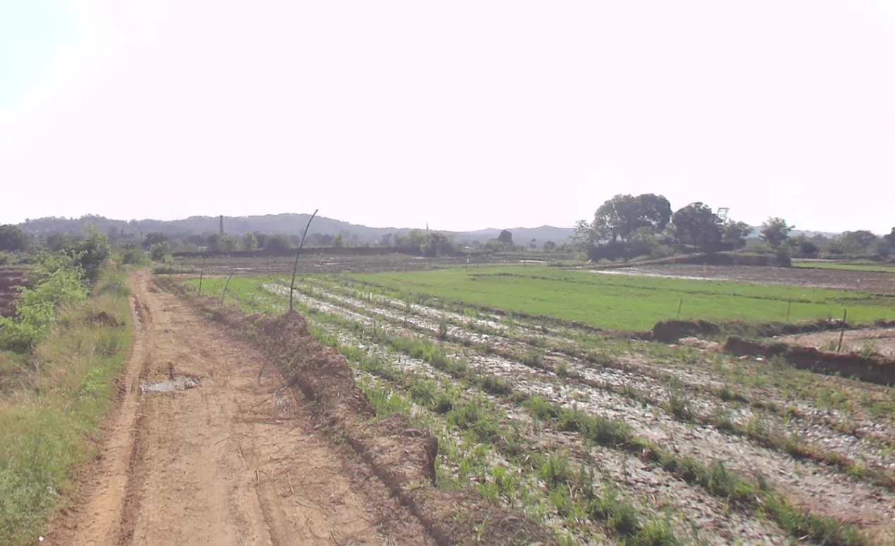 Bargodam, Kalka, Haryana 133302, India preview 3