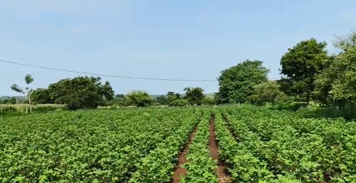 FV2C+VWQ, Vikarabad, Durgamcheru, Telangana, India