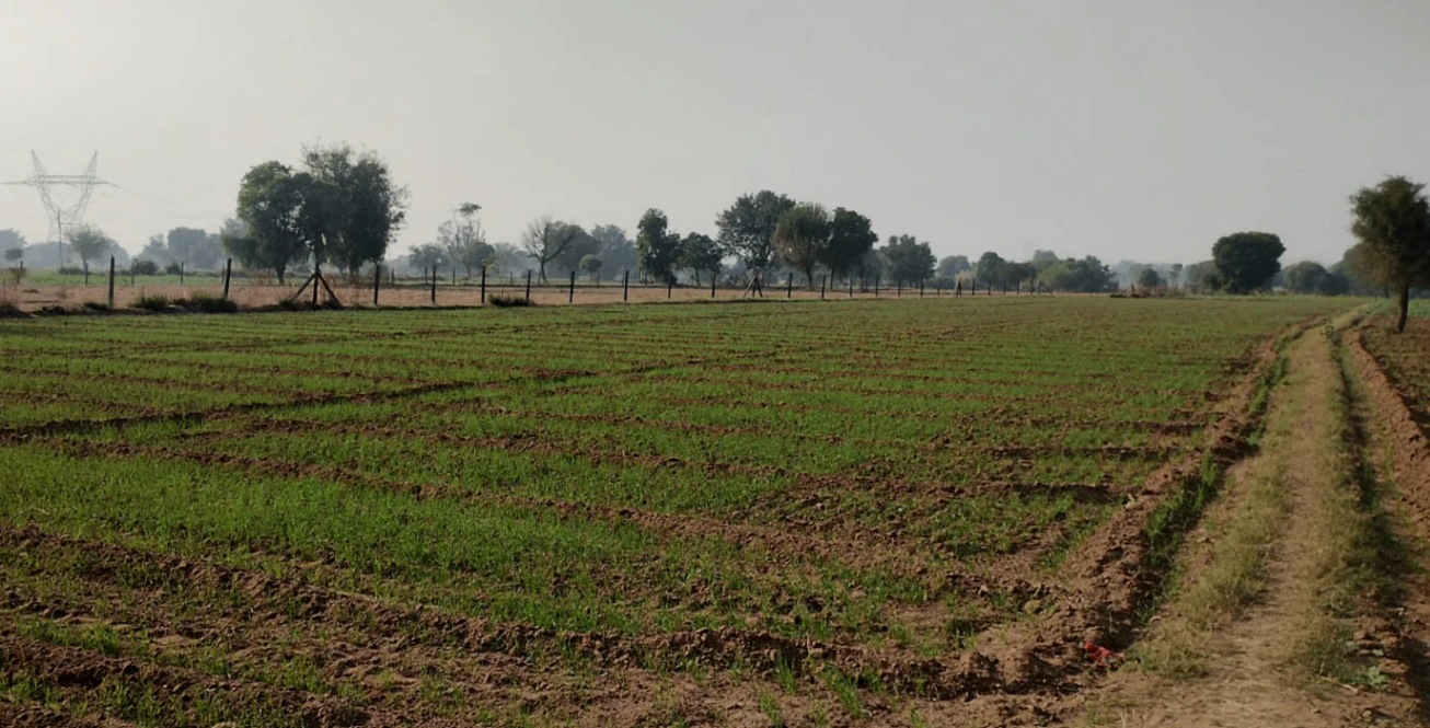 Bhanohad, Punjab 141102, India