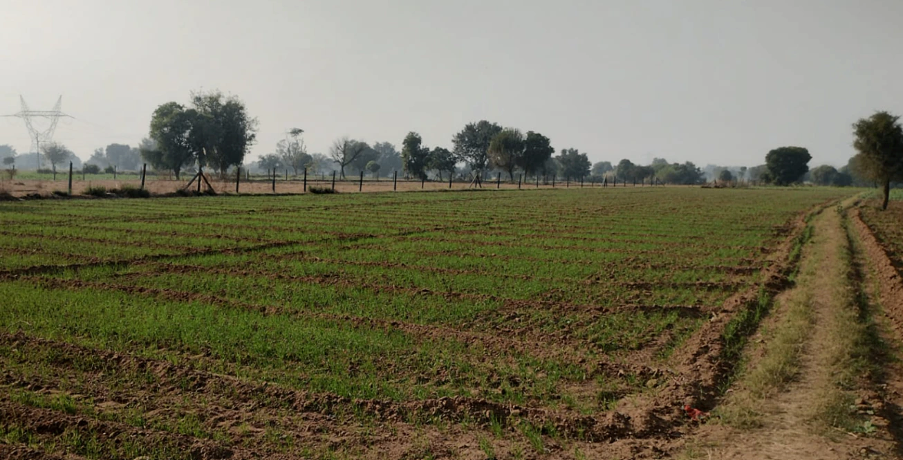 Bhanohad, Punjab 141102, India