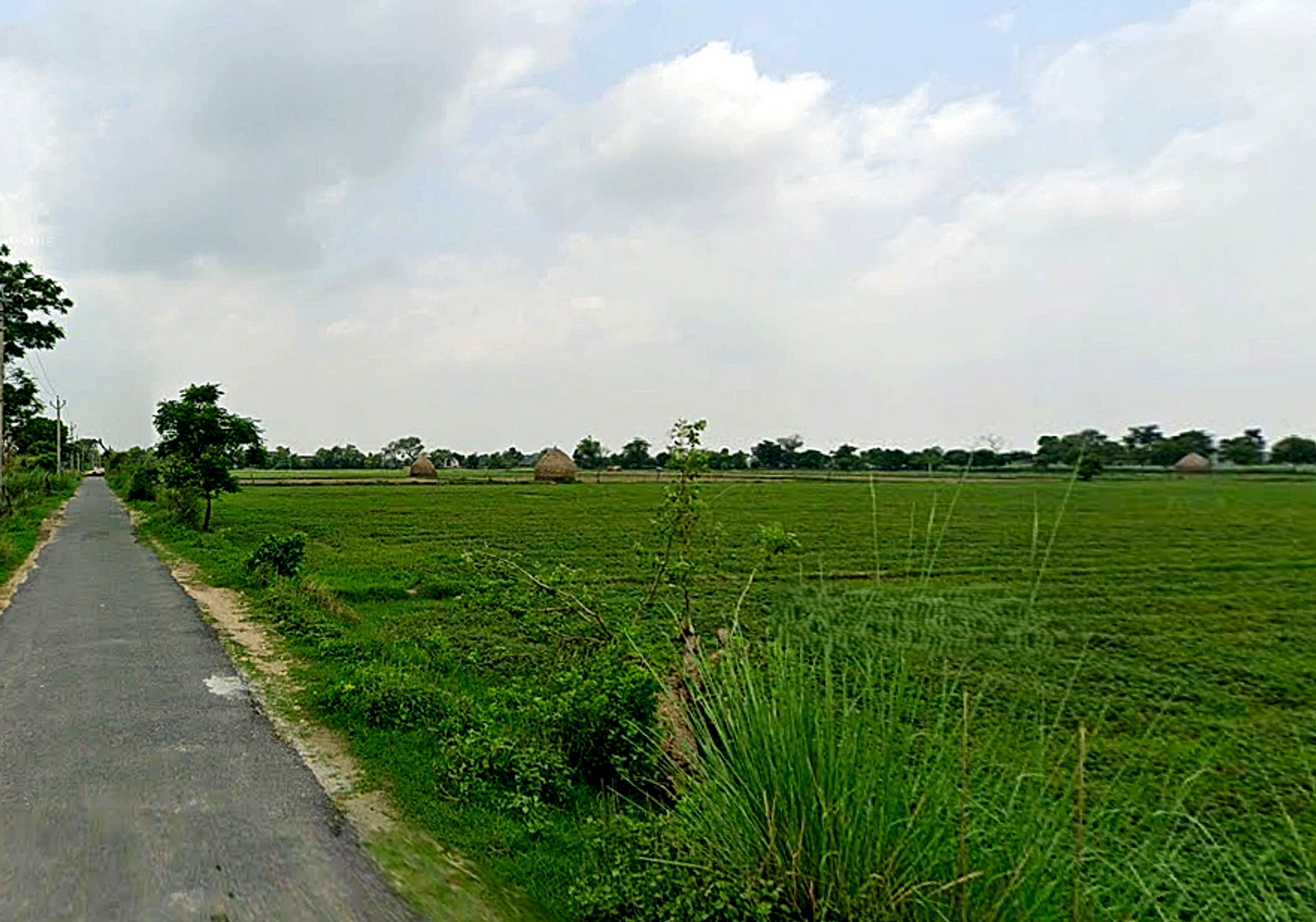 Tentigaon, Uttar Pradesh, India