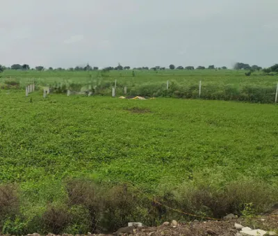 Tarra, Chhattisgarh 493887, India preview 3
