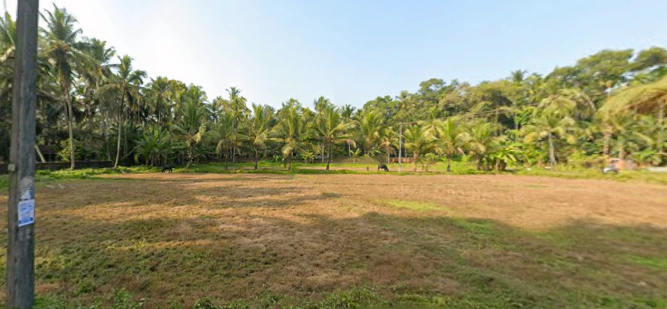 9872+WMH, Edakkara, Kerala 679331, India