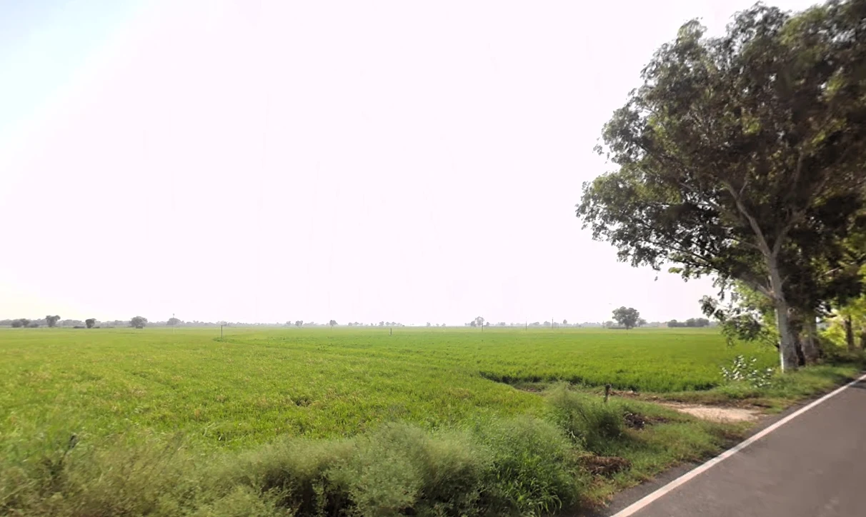 Mallekan, Haryana 125055, India