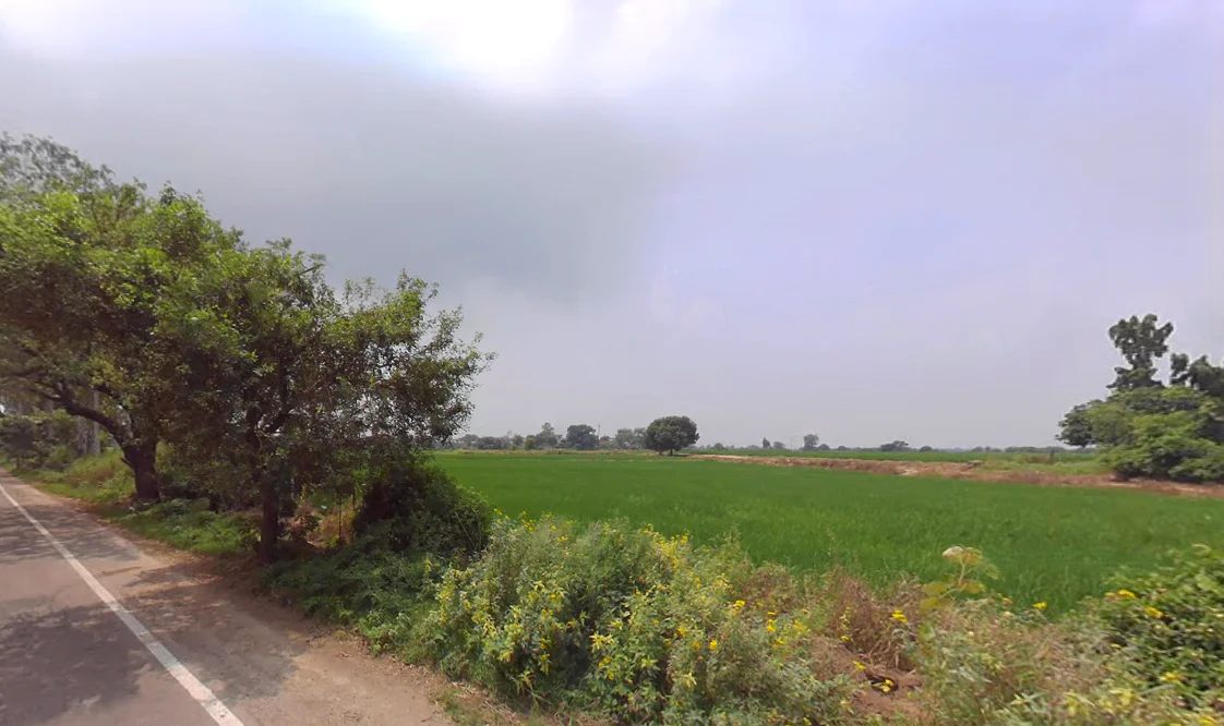 Tibbi Majra, Haryana 134204, India preview 3