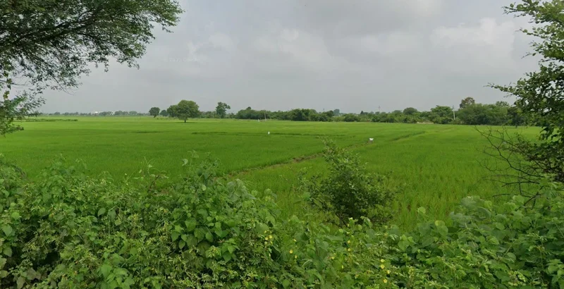 Berla, Chhattisgarh 491332, India preview 3