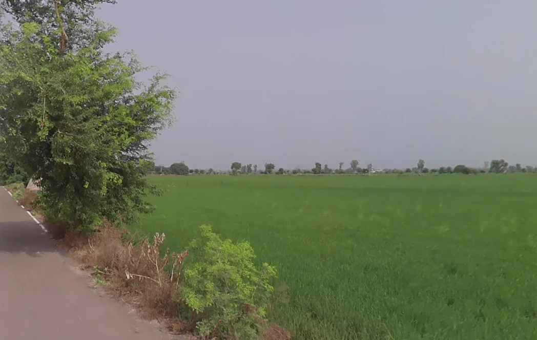 Urlana Kalan, Haryana, India preview 3