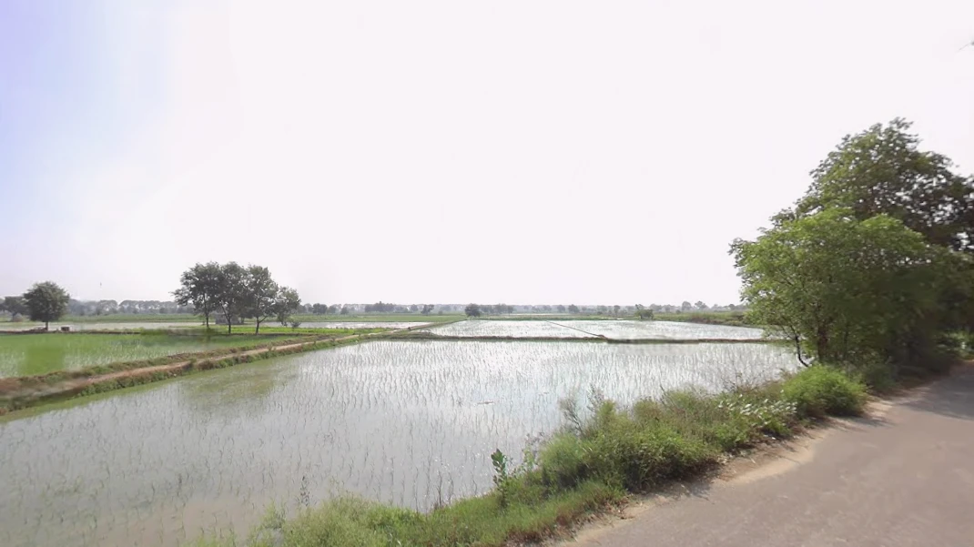 Dankuni, West Bengal, India