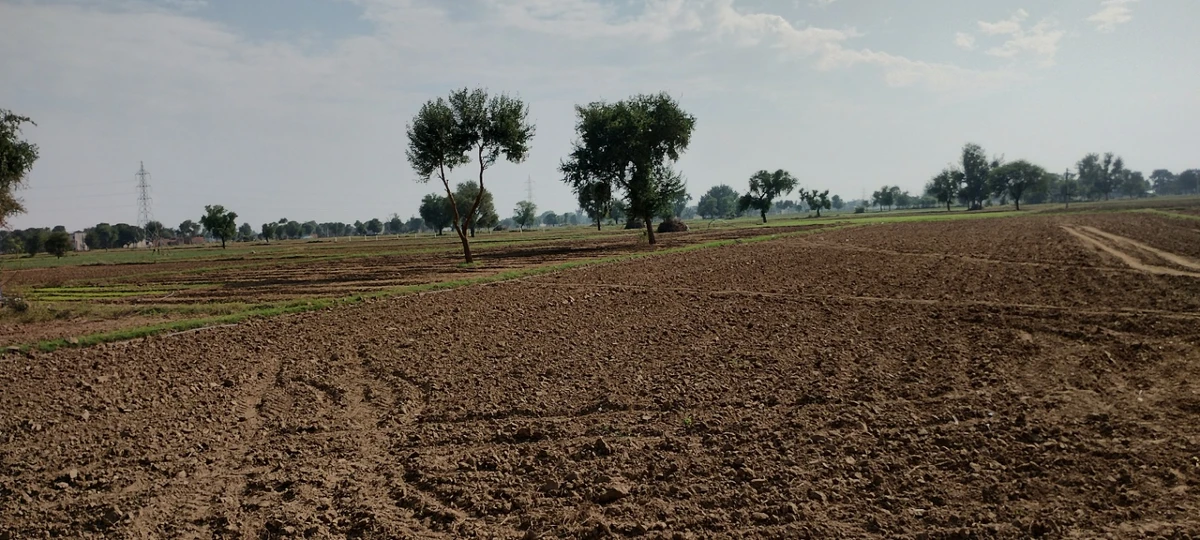 FWR6+JJ5, Gahankar, Rajasthan 301021, India