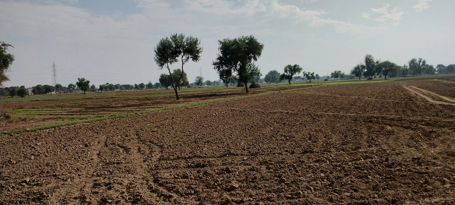 FWR6+JJ5, Gahankar, Rajasthan 301021, India