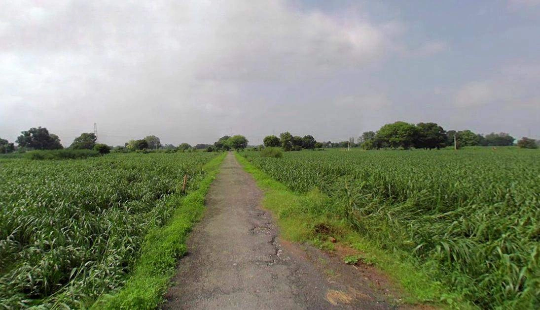 Rohtak, Haryana, India