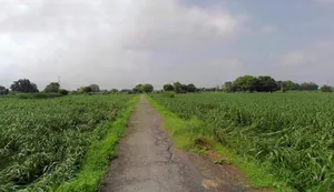 Rohtak, Haryana, India preview 3