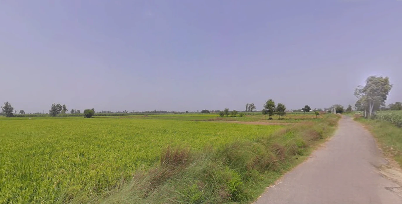 Hasanpur, Uttar Pradesh 244241, India