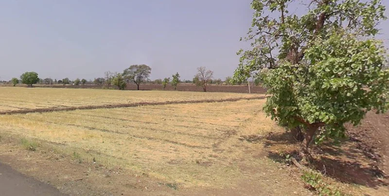 Narsinghpur, Madhya Pradesh 487001, India preview 2
