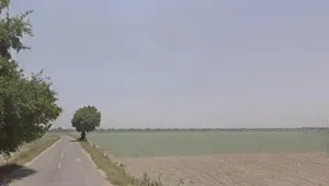 Ratapani, Madhya Pradesh, India preview 3