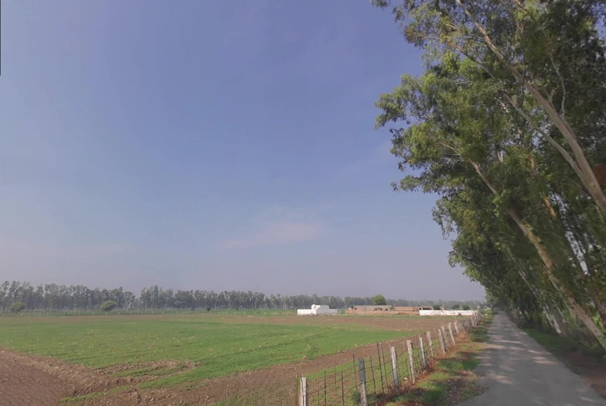 Jind, Haryana, India