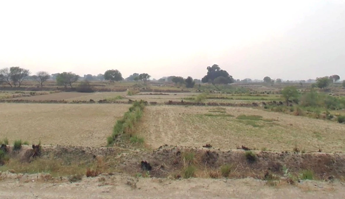 Saharanpur, Uttar Pradesh, India