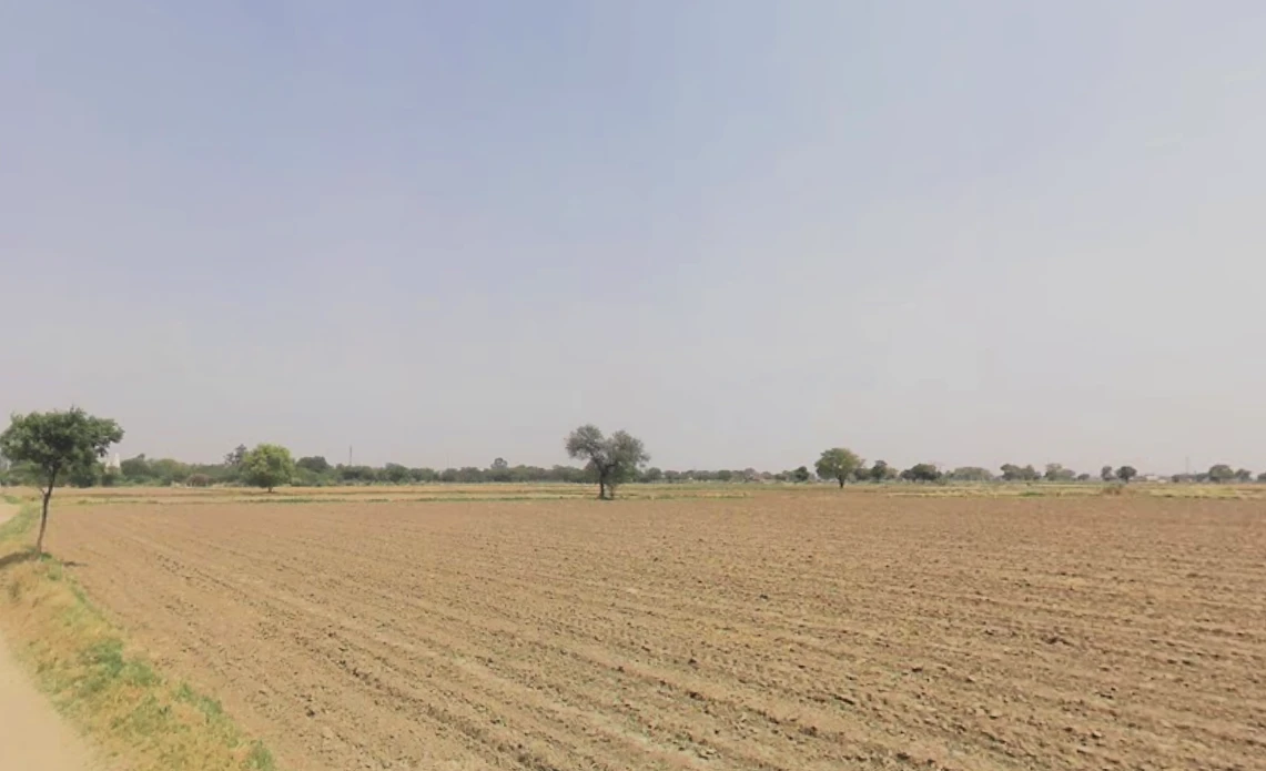 Pirthla, Haryana, India