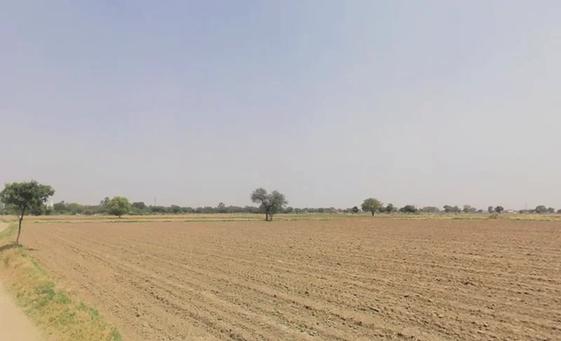 Pirthla, Haryana, India preview 2