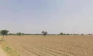 Pirthla, Haryana, India preview 2
