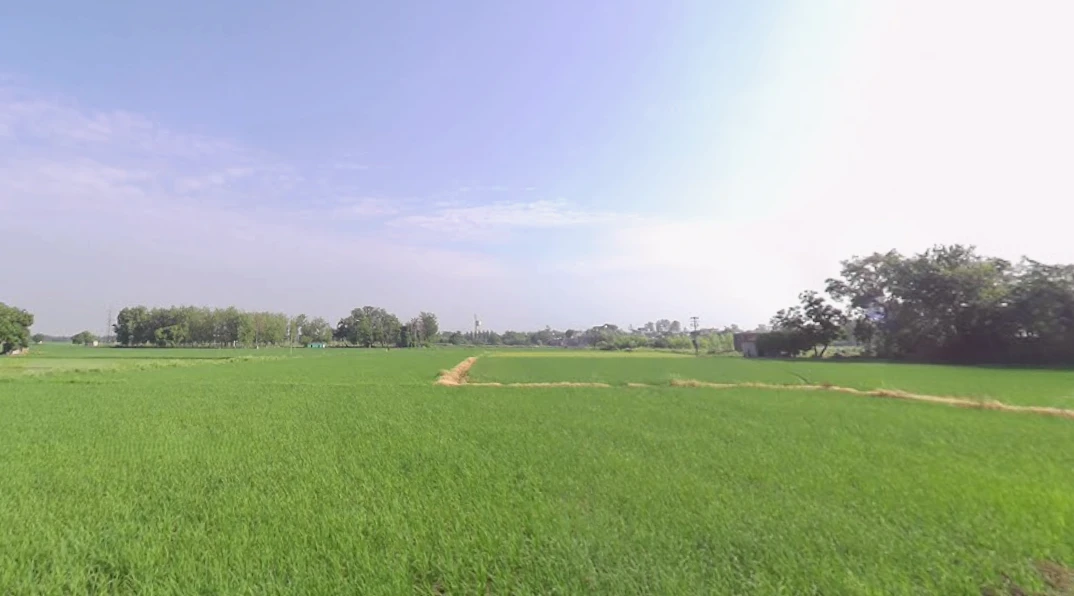 Mansa, Punjab 151505, India