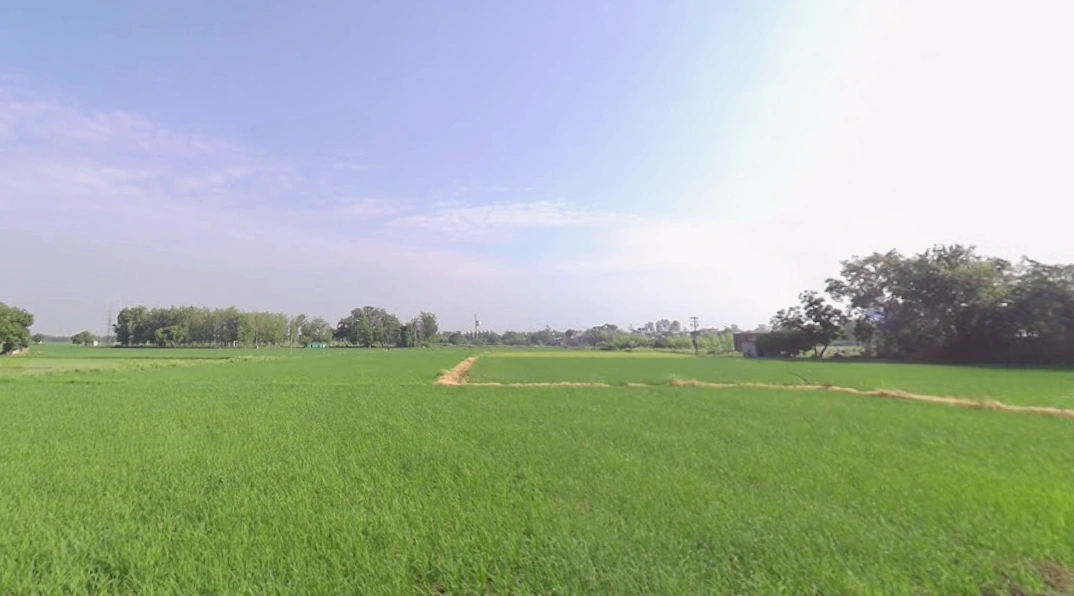 Mansa, Punjab 151505, India