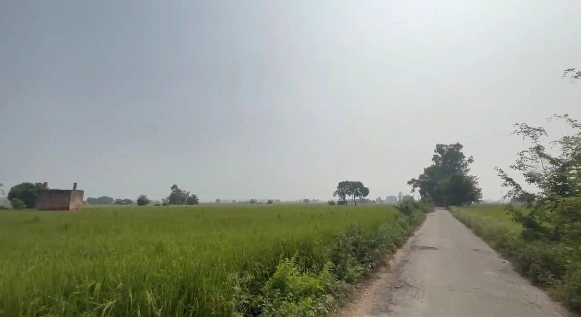 Dhodpur, Samalkha, Panipat, Haryana, India