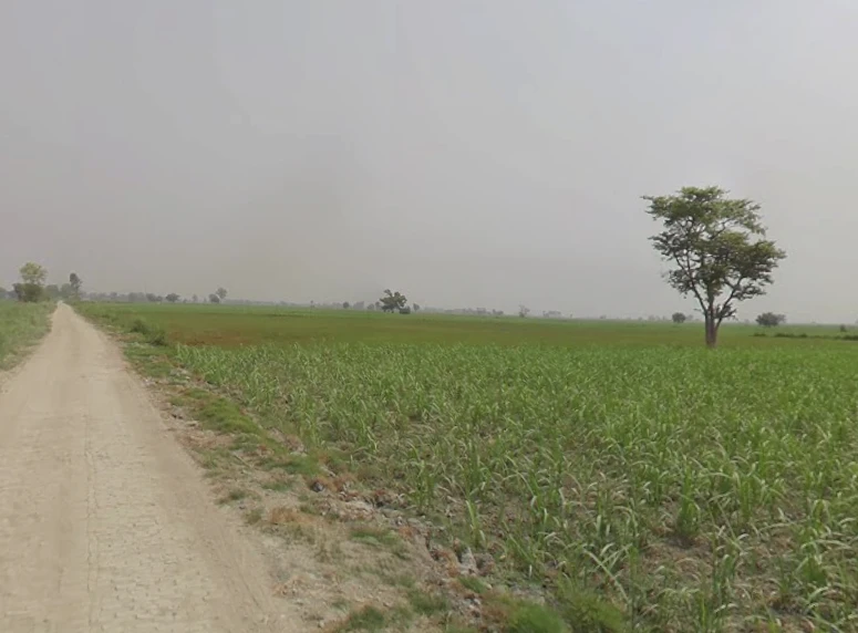 Hastinapur, Uttar Pradesh 250404, India