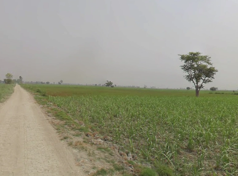 Hastinapur, Uttar Pradesh 250404, India